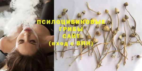а пвп мука Армянск