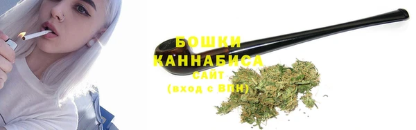 трава Елизово