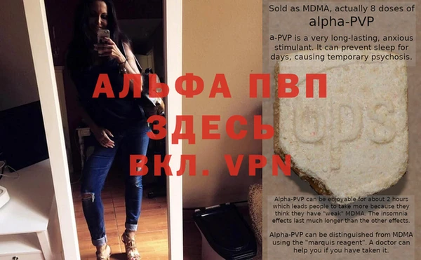 стаф Ельня