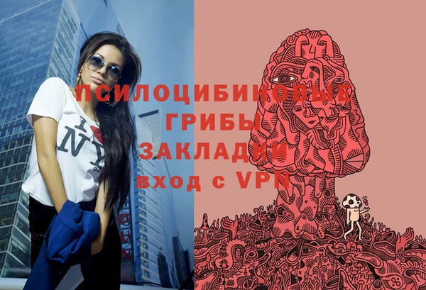 стафф Арсеньев