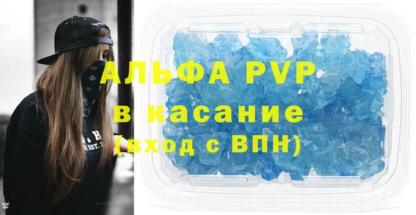 стафф Арсеньев
