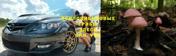твердый Аркадак
