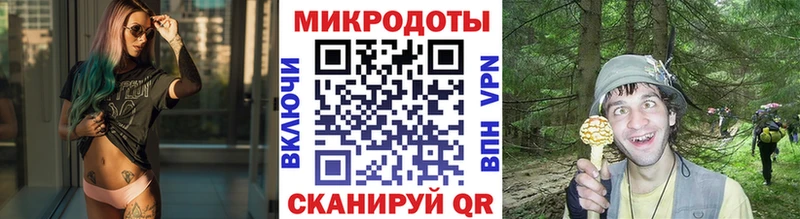 Псилоцибиновые грибы Cubensis  Армянск 